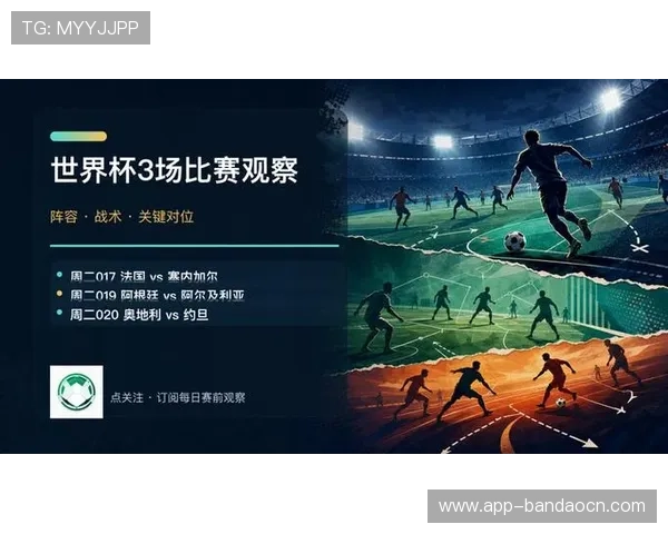 2026年法国与塞内加尔世界杯比赛可能出现的突发事件及应急处理方案分析